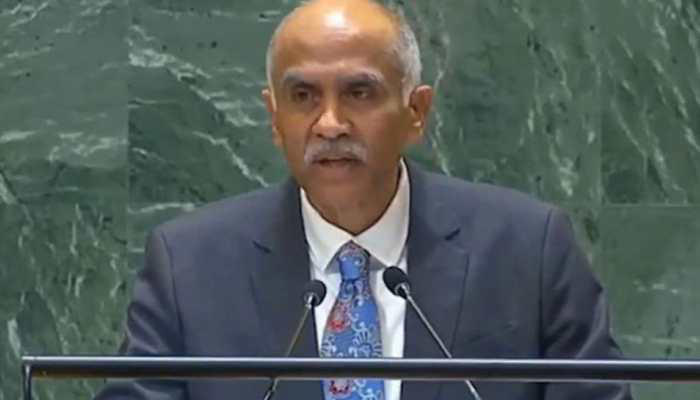 ‘Ready To Do More For Palestinian People’: India At UN On Middle East Situation