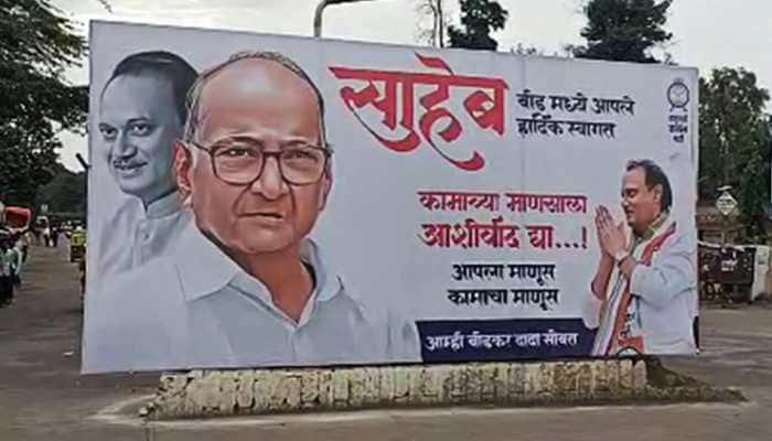 SC Schools Ajit Pawar Over Using Sharad Pawar’s Pic During Campaigning, Says, ‘Learn To Stand On Your Feet’